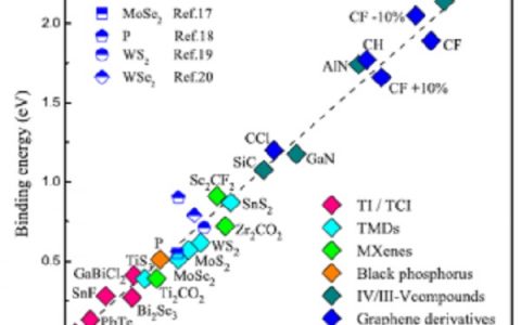 清华大学段文晖研究组：二维材料体系激发态的普适性规律研究取得进展