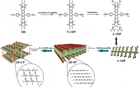 ACS Nano:在水溶液中制备具有独立单层单体厚度的2D共轭聚合物