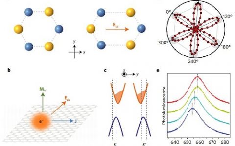 Nature Materials: 单层二硫化钼材料中的谷磁电效应