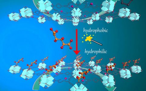 厦门大学汪骋和林文斌教授课题组：二维金属有机单层(MOL)的表面修饰改变催化微环境