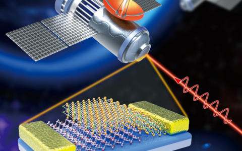 南京大学Science advances: 基于黑砷磷的高灵敏室温中波红外光电探测