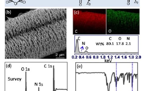 厦大物理系计算凝聚态物理研究组：电还原合成氨理论研究取得重要进展