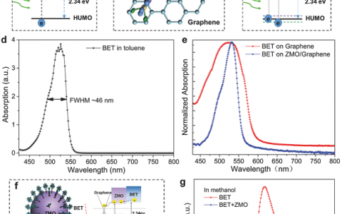 Adv. Funct. Mater.：具有高增益定制响应频谱的无滤波窄带光电探测器