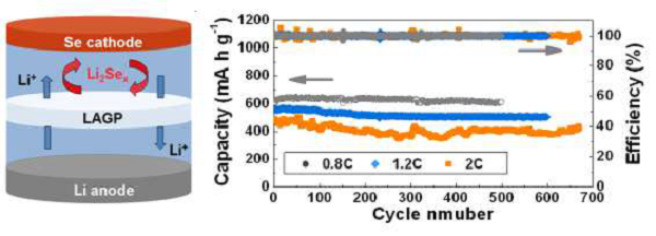 香港中文大学Nano Energy:固/液混合电解质稳定锂-硒界面