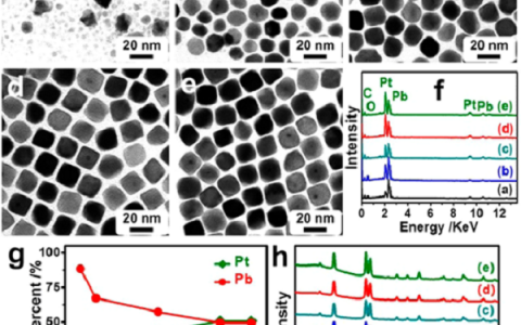 苏州大学黄小青JACS.:PtPb(金属间化合物)/PtNi(原子层)“缔结良缘”实现对氧还原的高效催化