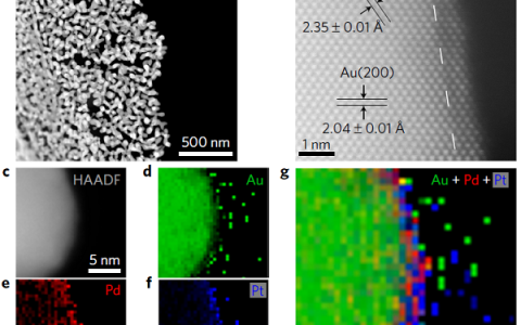 Nature Energy:新型高稳定性Pt–Pd–Au电催化剂增强ORR催化活性