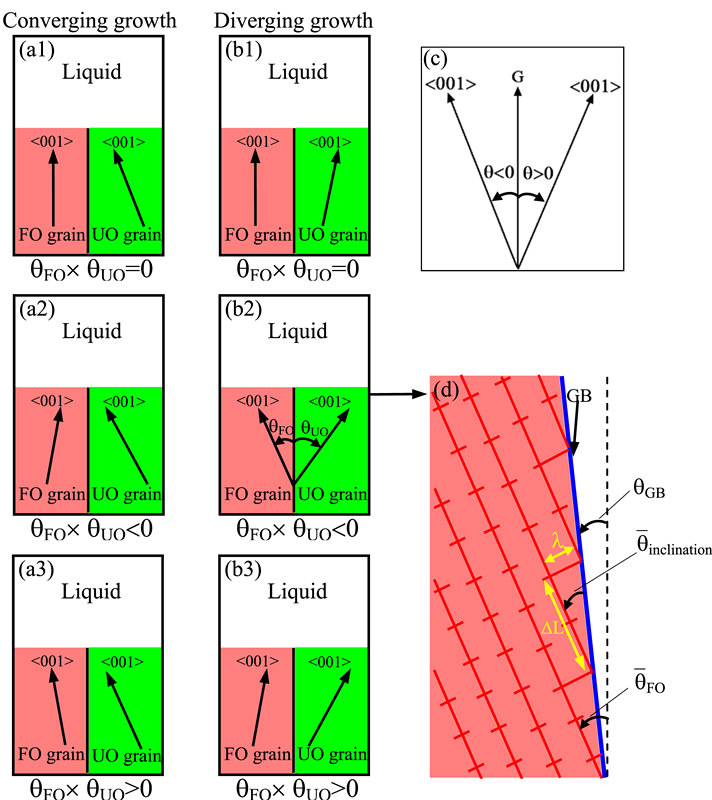 Acta Mater.:定向凝固过程中柱状树枝晶诱导分枝型晶界的演化