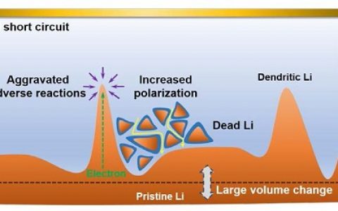 清华大学张强Chem. Rev. 二次电池中安全金属锂负极评述