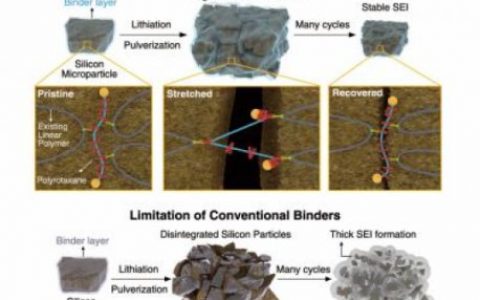 锂电池性能突破:分子“滑轮”粘合剂
