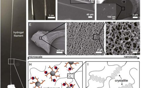 剑桥大学PNAS：发现合成无毒高强度人工蛛丝新方法