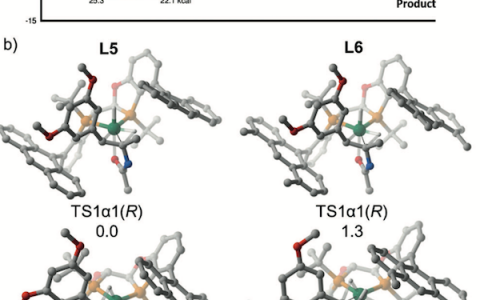 Angew. Chem. Int. Ed.：铑催化不对称氢化过程中对映选择性的自动量子力学预测