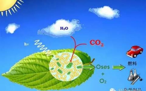 从自然开始：天然等级孔材料与合成材料