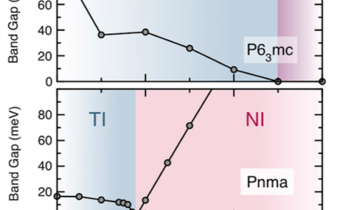 Phys. Rev. Lett.：AMgBi正交晶系化合物（A = Li,Na,K）中的反铁电性拓扑绝缘体