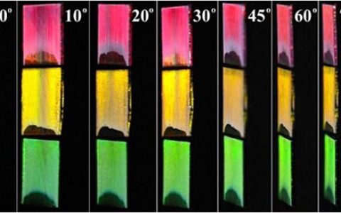 中科院理化所Sci. Bull.：具有各向异性、非角度依赖显色和多重偏振反射特点的微沟槽光子晶体的简易制备