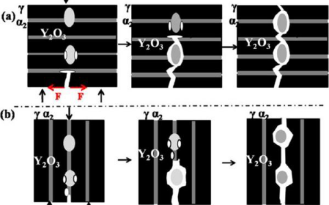 Mater. Sci. Eng., A:  Y2O3颗粒对定向凝固TiAl基合金断裂韧性的影响