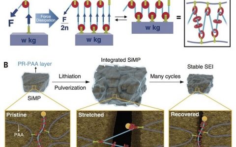 Science: 锂离子电池硅负极重大进展！