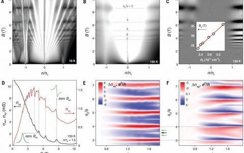 诺奖得主Geim最新Science:石墨烯超晶格中重复布洛赫状态引起的高温量子振荡