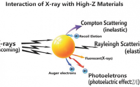 重磅!苏州大学刘庄课题组Advanced Materials最新综述:新兴的纳米技术和用于癌症放射治疗的先进材料
