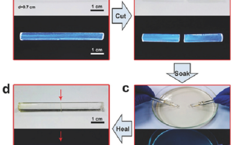 苏州大学李述汤院士Adv. Mater.：碳点“点出”自愈合防腐聚合物