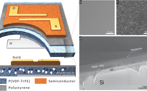 胡文平&江浪Adv. Mater.：通过普通介电层克服半选择问题的有机铁电基1T1T随机存储器单元