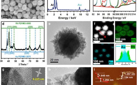 NPG Asia Mater.: 可见光驱动双金属Au @ Rh核壳纳米晶催化剂高效产氢