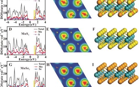 谢毅最新Angew. Chem. Int. Ed：通过单层硫硒化钼离域电荷提高二氧化碳电化学还原合成气