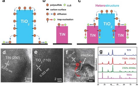 清华深研院Energy Environ. Sci.：超长寿命Li-S电池—孪生TiO2-TiN异质结构实现聚硫化物平滑地捕获-扩散-转化
