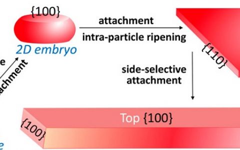 JACS:矩形CdSe二维纳米晶体的对称破缺