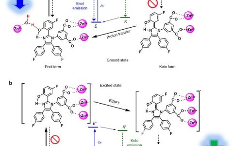 中山大学Nature子刊：具有可切换发光的金属有机框架用于超快水传感和热成像