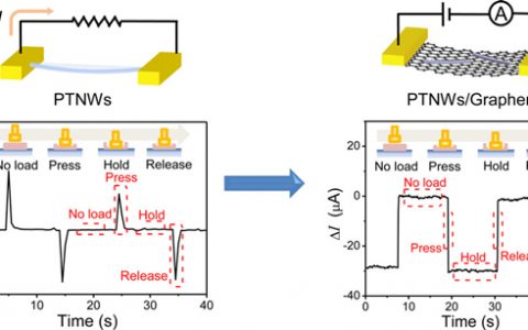 香港中文大学许建斌研究组ACS Nano:可以持续测量压力信号的石墨烯/压电纳米线传感器