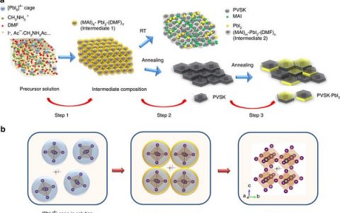 北京大学“极端光学创新研究团队”：在钙钛矿光伏材料的生长机理原位研究方面取得新进展