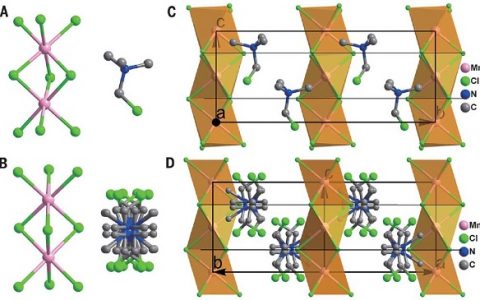 东南大学熊仁根团队Science: 具备超高压电响应性能的有机-无机钙钛矿铁电体