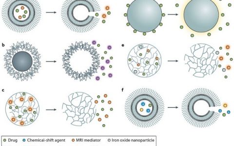 2017上半年生物材料前沿综述精选