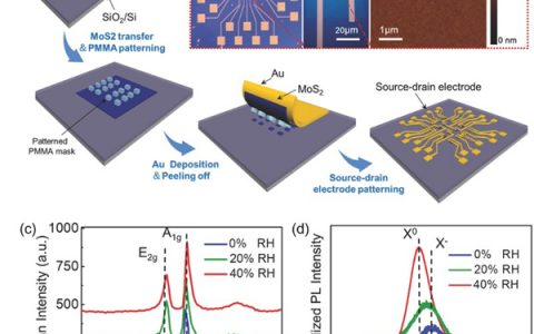 Adv. Mater. : 超灵敏二硫化钼湿度传感器阵列研究进展