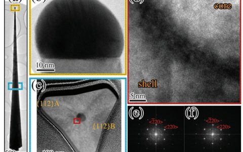 悉尼大学郑荣坤Advanced Materials: 半导体纳米线材料重大进展!