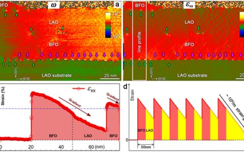 金属所Nature子刊: 位错——可有效调控材料物理特性的新组元
