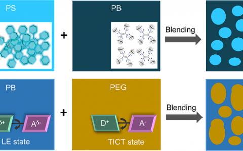 唐本忠院士Macromolecules：应用AIE荧光探针高对比度观测和区分聚合物共混物微相分离形貌