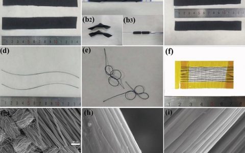 Adv. Energy Mater.：基于碳纤维织物的柔性可穿戴高能量密度的全固态超级电容器