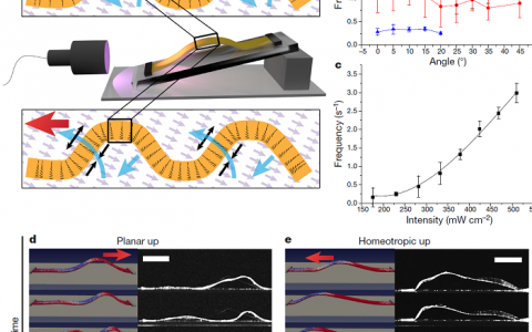 Nature：在光敏聚合物薄膜中“兴风作浪”