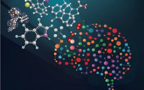 Natl.Sci.Rev.专题｜蓬勃发展的中国有机化学（特邀编辑：麻生明）