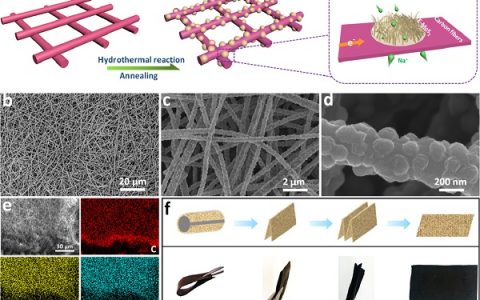 大连理工Nano Energy：碳纤维上生长超宽层间距MoS2材料的储钠应用