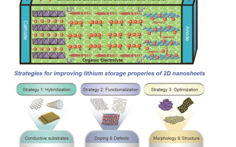 孙子其&窦士学NSR综述:二维材料的调控策略助力锂电池发展