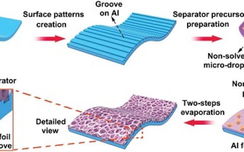 中科院深圳先进院唐永炳团队:研发出多功能型的高效电池电极材料
