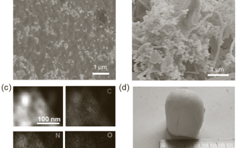 王心晨Angew. Chem. Int. Ed.：碳化氮气凝胶用于水的氧化还原转换