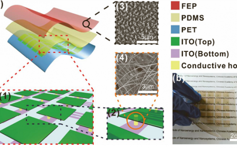 中科院王中林团队：透明柔性自驱动触觉传感器研制成功