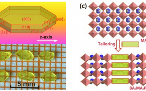 福建物构所罗军华团队：铁电半导体光电探测晶体材料研究获进展
