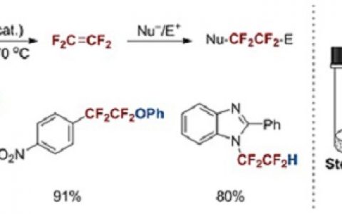 中科院上海有机所胡金波课题组：在温和条件下制备四氟乙烯并用于有机合成