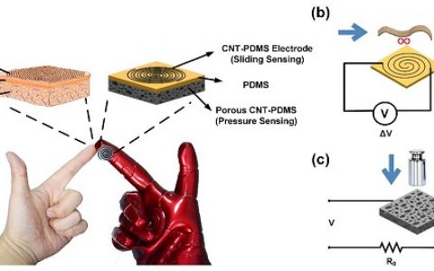北京大学信息学院张海霞教授课题组：在仿指纹式多功能电子皮肤研究中取得重要进展