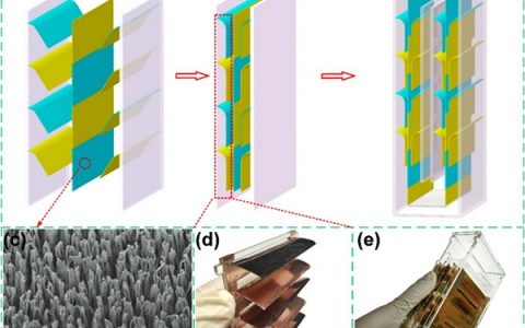 王中林院士等ACS Nano:摩擦纳米发电机集成躯体传感网络实现自驱动人体心率监测
