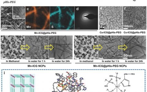 Adv. Mater.:一维配位聚合物纳米纤维用于低温光热治疗